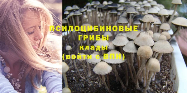 гашик Абаза
