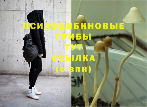 гашик Абаза