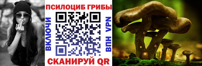 kraken сайт Барыш Галлюциногенные грибы ЛСД магазин